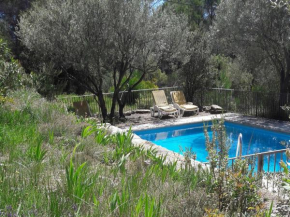 Cosy holiday home in Saint Antonin Du Var with pool